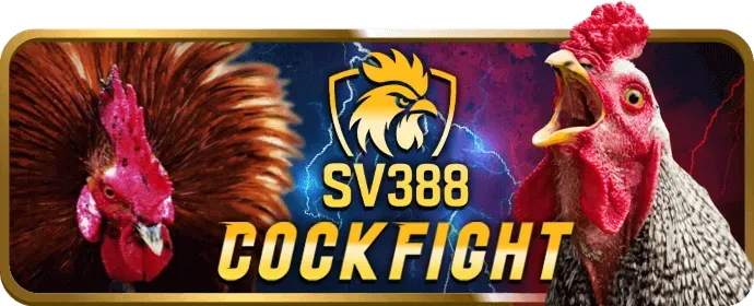 Dịch vụ hỗ trợ khách hàng 24/7 của xs9988 đăng nhập